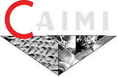 NEW-LOGO-CAIMI-INTERNATIONAL