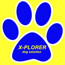 xplorer
